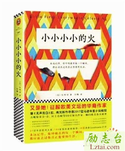 小小小小的火读后感1000字欣赏