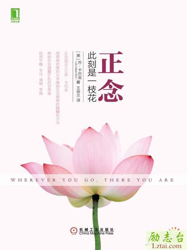 正念：此刻是一枝花读后感1400字欣赏