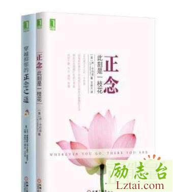 正念：此刻是一枝花读后感1400字欣赏