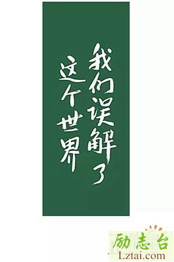 我们误解了这个世界读后感600字欣赏