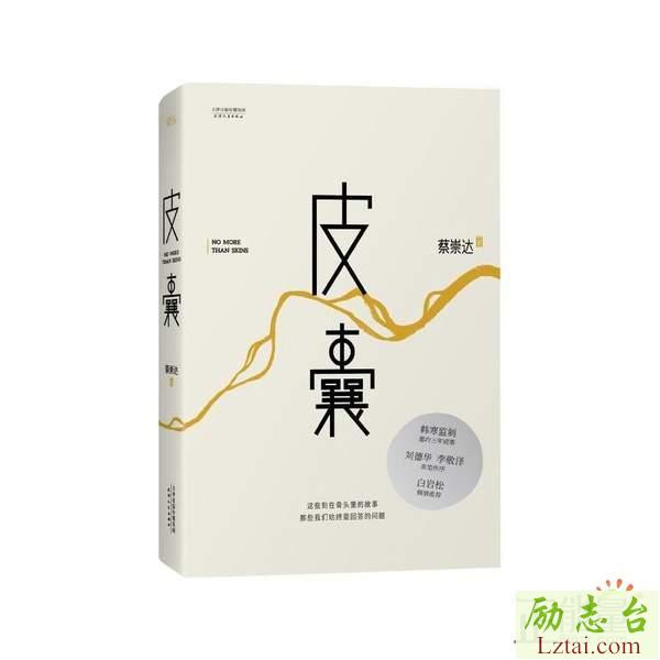 皮囊读后感700字欣赏