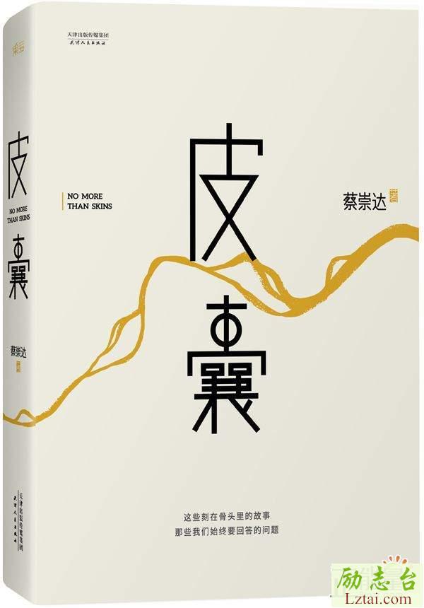 皮囊读后感700字欣赏