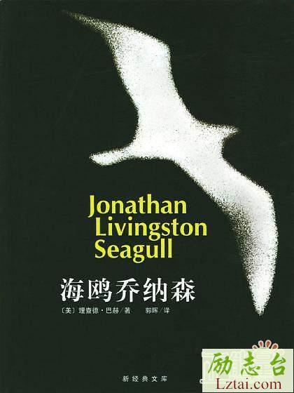 海鸥乔纳森读后感精选范文欣赏