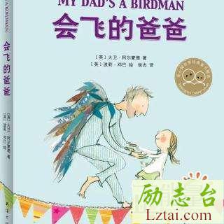 会飞的爸爸读后感300字欣赏