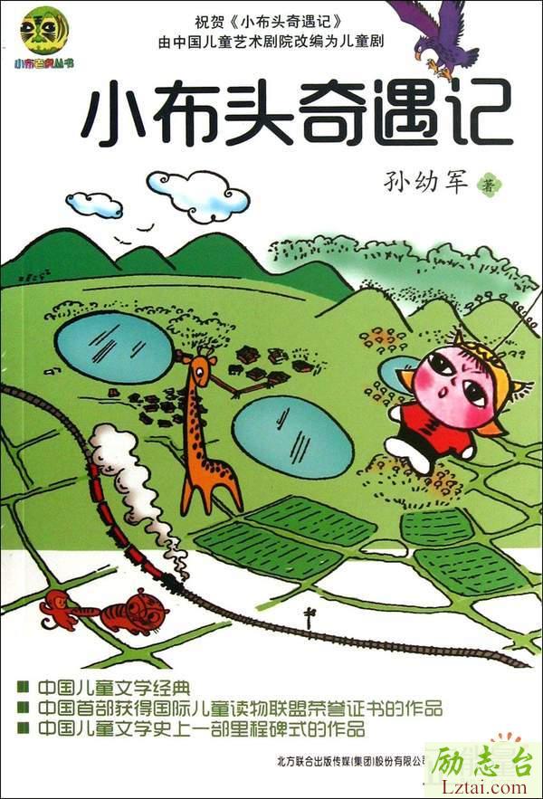小布头奇遇记读后感精选3篇