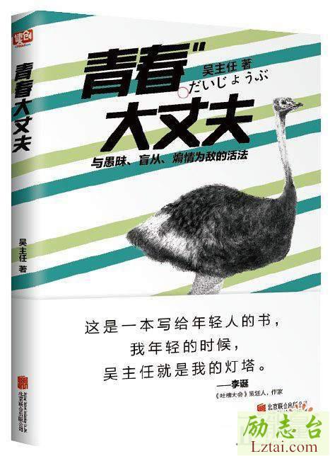 青春大丈夫读后感900字