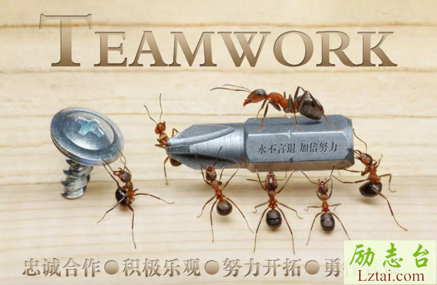 关于体现团队精神的口号