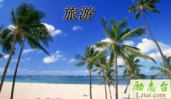 小学生队名的口号 图1