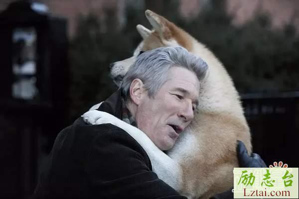 忠犬八公观后感影评800字