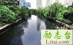 作风强化在西安之黑臭水体整治篇观后感心得体会精选5篇