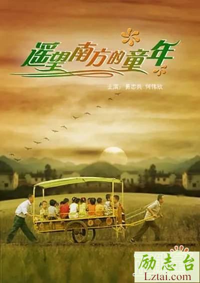 遥望南方的童年观后感范文欣赏