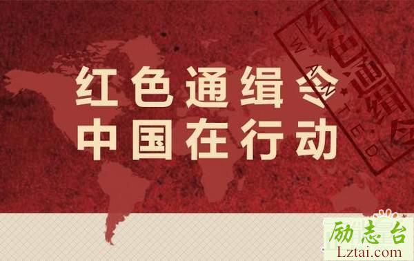 红色通缉观后感精选6篇
