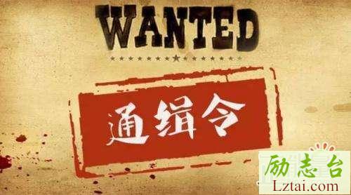 红色通缉观后感精选6篇