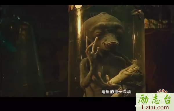 电影疯狂的外星人观后感2000字