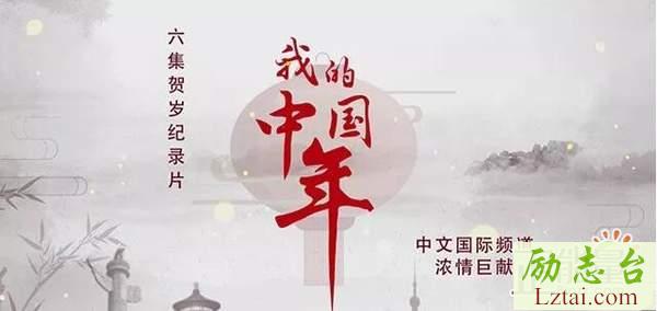 我们的中国年观后感