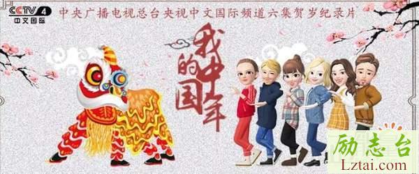 我们的中国年观后感