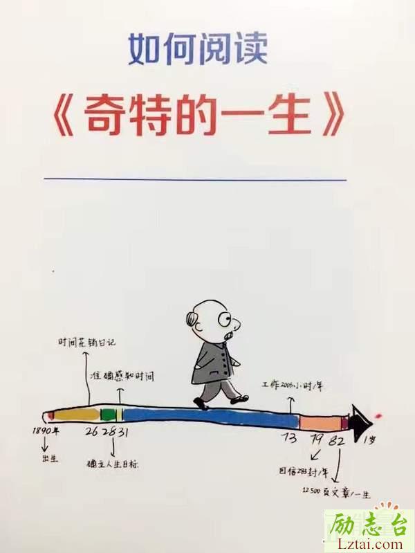奇特的一生读后感900字