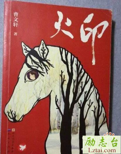 火印读后感500字
