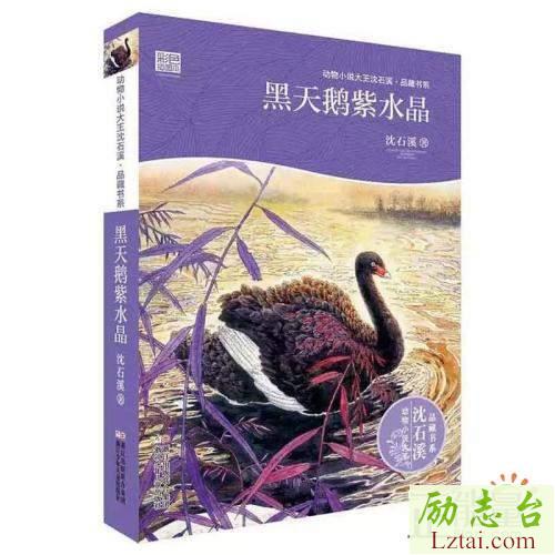 黑天鹅紫水晶读后感600字欣赏