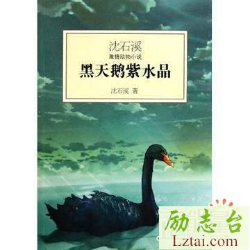 黑天鹅紫水晶读后感600字欣赏