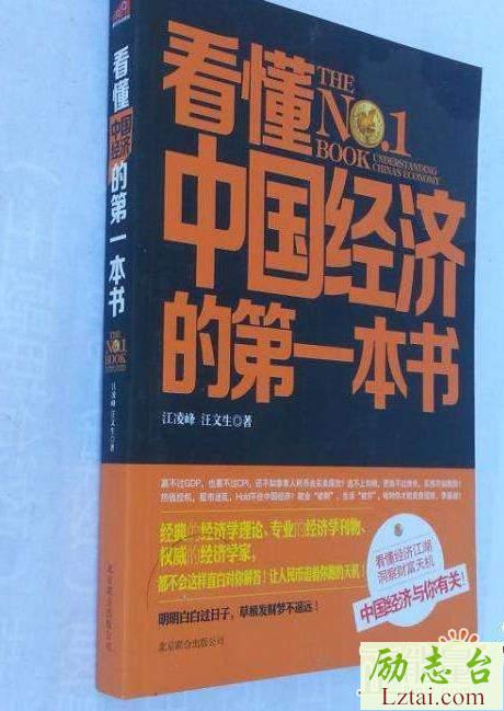 看懂中国经济的第一本书读后感800字欣赏