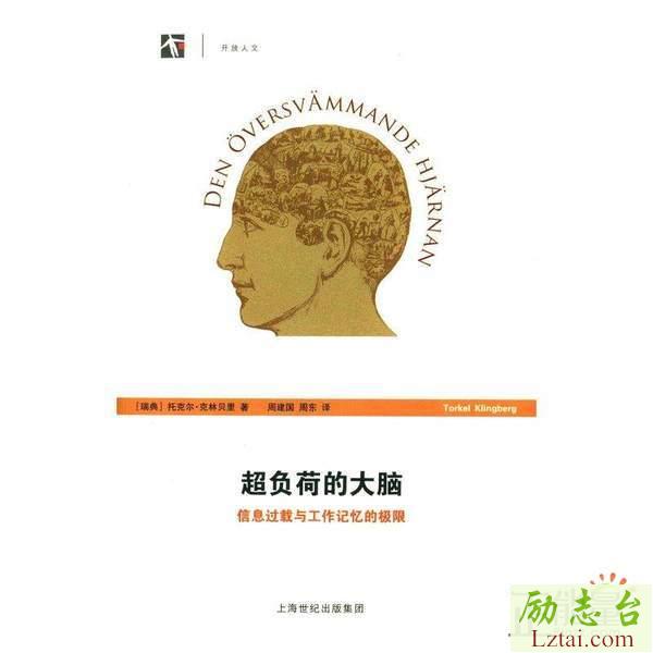 超负荷的大脑读后感2000字欣赏