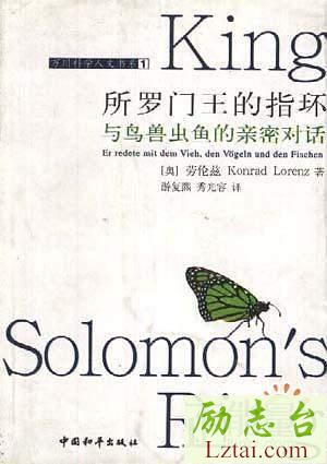 所罗门王的指环读后感400字