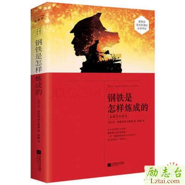 钢铁是怎样炼成的读后感600字范文欣赏
