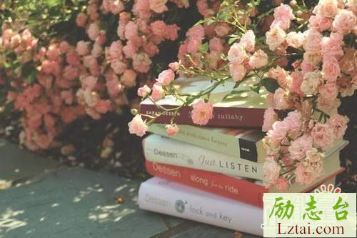 墙读后感范文欣赏