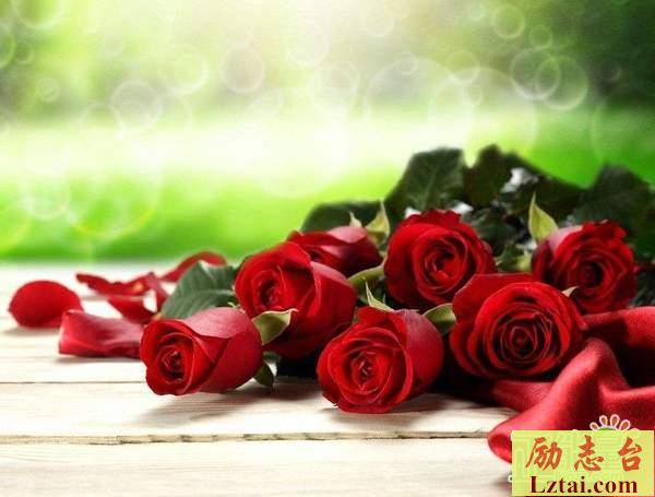 学会心疼自己的说说心情语录：我们，变成我和你