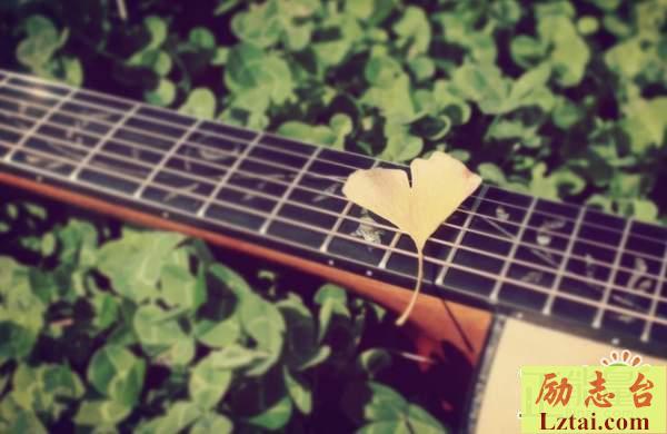 不轻言放弃的人生感悟经典语录：