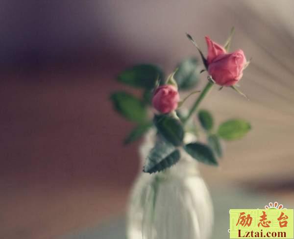 怀念青春句子说说心情经典语录：愿我们都能无悔青春