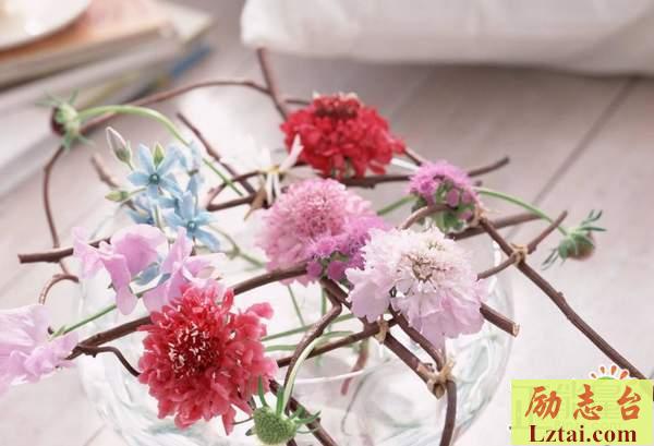 怀念青春句子说说心情经典语录：愿我们都能无悔青春