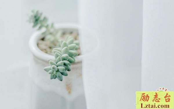 愿父母慢点老去的句子情感说说：你陪我长大，我陪你变老