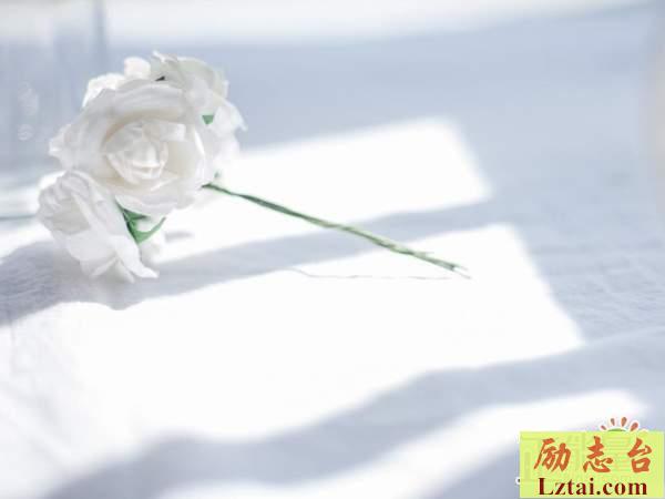 可惜没有如果的说说心情语录：你是人生我最大的遗憾