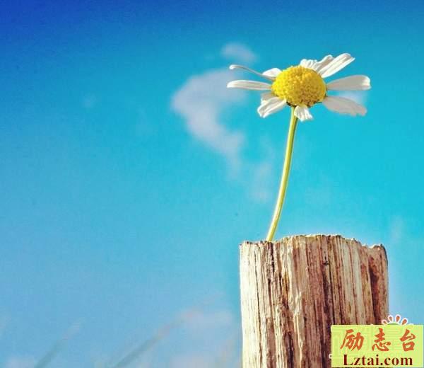 再见老同学的感叹时光经典语录：致已经毕业的我们