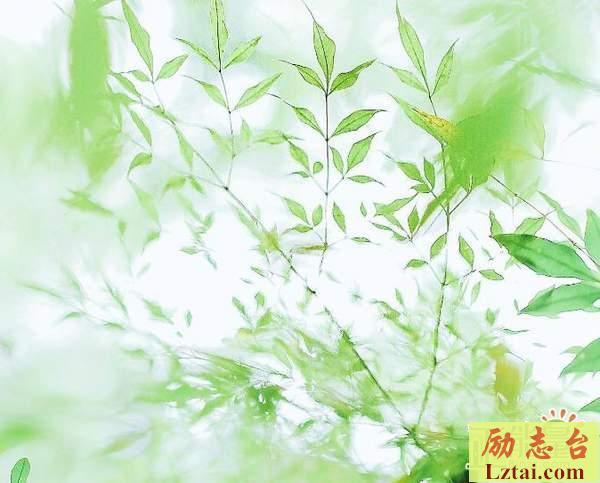 青春不再学会成长的心情语录：一切所不能及的事情，我们慢慢来