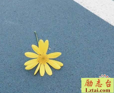 2019活出自己想要的样子说说心情：谁也不想做人生输家