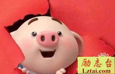 2019猪宝宝小名大全