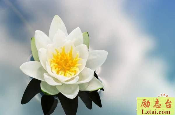 你爱的人不爱你的说说伤感语录：是否在某个凌晨，你还会再想起我