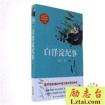 白洋淀纪事读后感800字