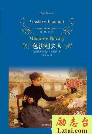 包法利夫人读后感2000字