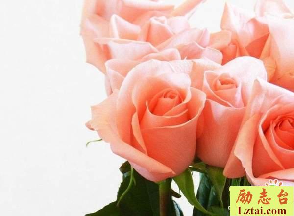 我退出成全你和她句子说说心情：世间万般难得需成全，愿你幸福