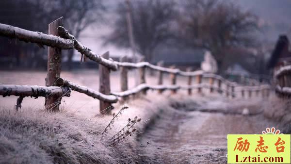 你曾是少年的人生感悟语录说说：