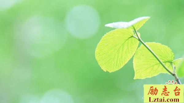 一个人也可以很好短句情感说说：别害怕，我们都孤寡