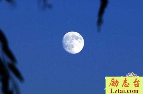 明月几时有观后感800字欣赏
