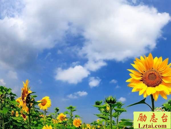 感情结束的说说心情伤感语录：曾经的青春，在一句好吧中全部消失