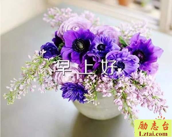 微商早安激励人心的句子励志说说大全