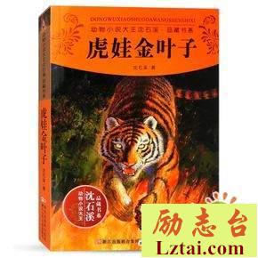 虎娃金叶子观后感书评
