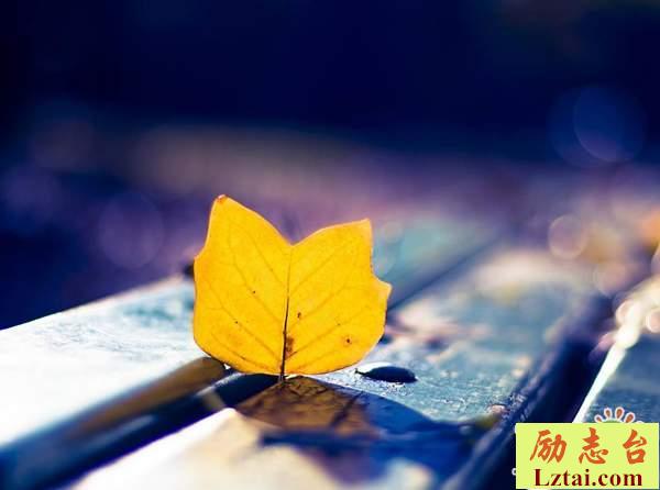 为了想要的生活拼尽全力的人生感悟语录说说大全